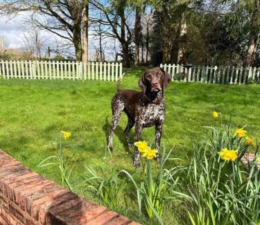 Whitbourne House | Cozy Crumpelbury Cottage with Hot Tub and Pet-Friendly Perks