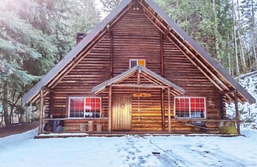 Ashford Other | Cozy Log Cabin at Rainier Lodge – Ideal for Families