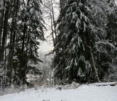 Ashford Other | Cozy Log Cabin at Rainier Lodge – Ideal for Families