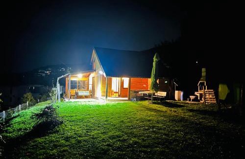 Resnik House | Pet-Friendly Oceanfront Log Cabin with Amazing Reviews