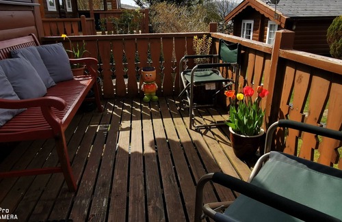 Bronaber Cabin | Relaxing Log Cabin Retreat in Snowdonia National Park