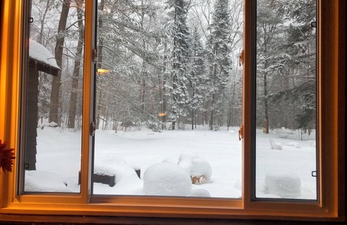 Baysville Cabin | Log Cabin in the Woods