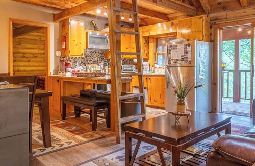 Mill Ridge Cabin | Cozy Log Cabin with Mountain Views and Pet-Friendly Amenities
