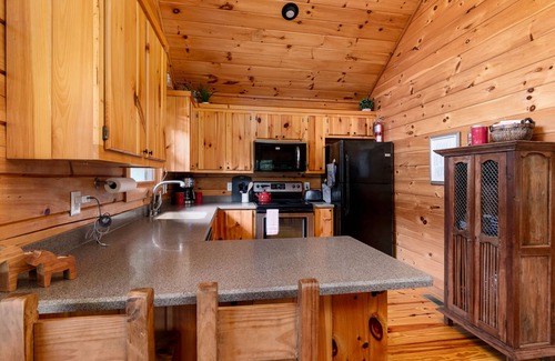 Murphy Cabin | Cozy Log Cabin Near Blue Ridge with Hot Tub & Fast Wifi