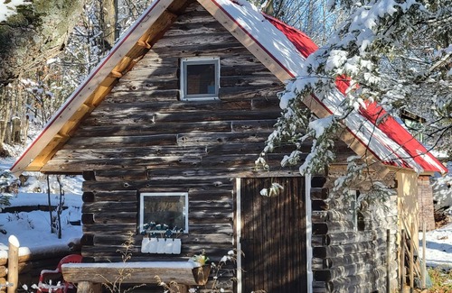 Adjala-Tosorontio Cabin | Cozy Log Cabin Retreat Near Hockley Valley Awaits