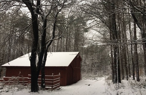 Altmar Cabin | Idyllic Log Cabin Retreat Near Salmon River & Trails