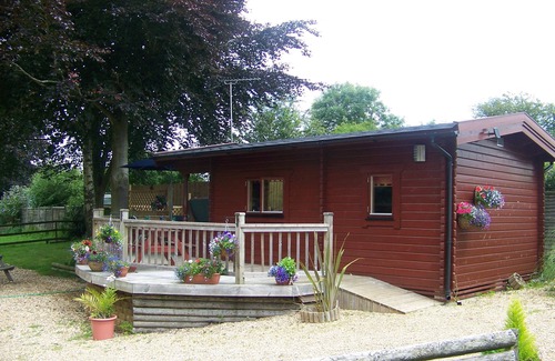 New Forest District Cabin | Relaxing Hot Tub Log Cabin Retreat in New Forest National Park