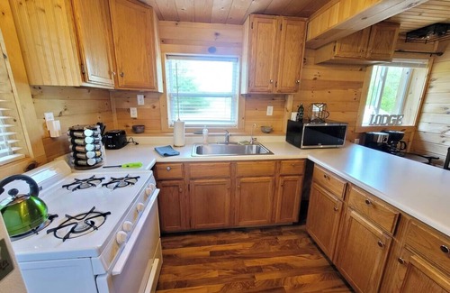 Bitely Cabin | Lakefront Lincoln Log Lodge: Kayaks, Arcade & Pet Friendly