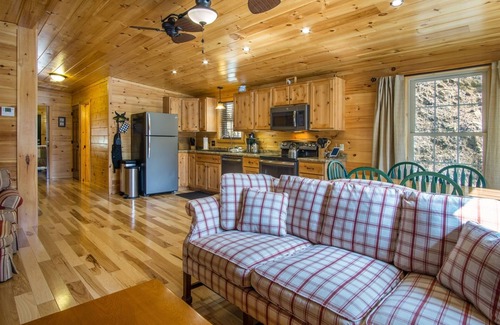 Pisgah Forest House | Pet-Friendly Eagles Nest: 2 Bed, 2 Bath with Breakfast