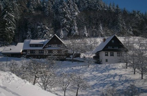 Busterbach Apartment | Cozy Log Cabin Tanne for Family Getaways and Pets