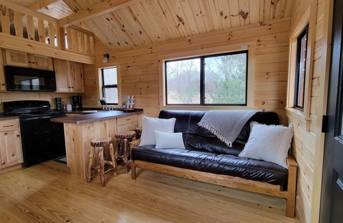 Northeast Michigan Cabin | Idyllic Log Cabin Tiny Home Retreat with Ocean Views