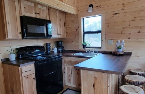 Northeast Michigan Cabin | Idyllic Log Cabin Tiny Home Retreat with Ocean Views