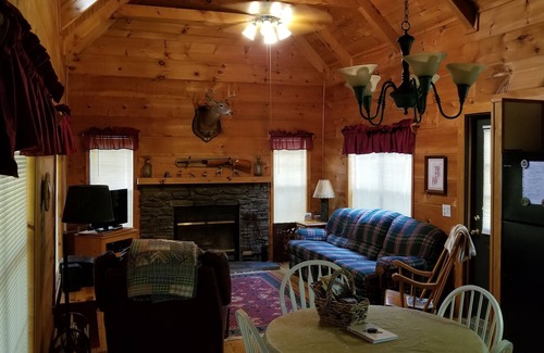 Cedar Mountain Cabin | Private Log Cabin with Trout Pond Near Dupont State Forest