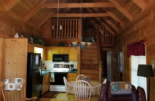 Cedar Mountain Cabin | Private Log Cabin with Trout Pond Near Dupont State Forest