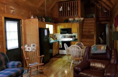 Cedar Mountain Cabin | Private Log Cabin with Trout Pond Near Dupont State Forest