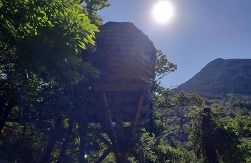 Belvedere Cabin | Cozy Log Cabin with Mountain View and Spa Amenities