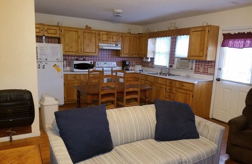 Whittier Cabin | Cozy Log Cabin with Hot Tub Near Cherokee and Bryson City