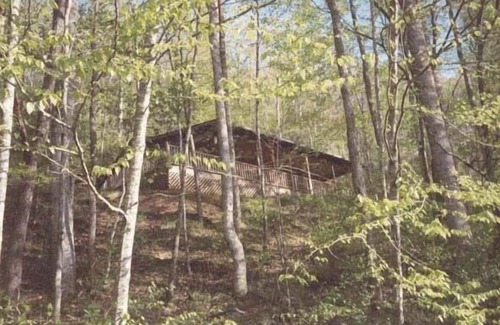 Whittier Cabin | Cozy Log Cabin with Hot Tub Near Cherokee and Bryson City