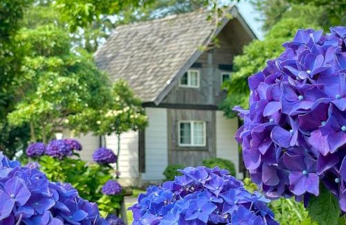 Aewol House | Welcoming Log Park Dochidol Ranch: Family-Friendly Retreat