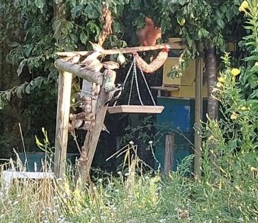 Wachtum Apartment | Renovated Farm Stay in Wachtum with Hot Tub & Family Perks