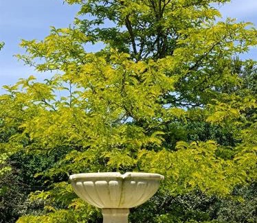 Cahuzac-sur-Vere Apartment | Charming Oceanfront Retreat with Pool – Guest Rated 9.7