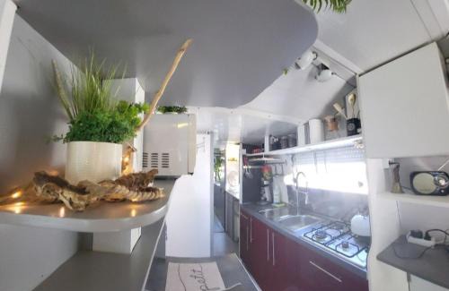Montech Boat Rental | Unique Experience: Entire Boat Accommodation Awaits You