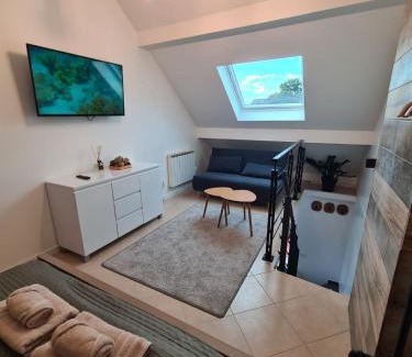 Ozoir-la-Ferriere Apartment | Logement indépendant dans une zone pavillonnaire au calme, situé entre Disneyland et Paris