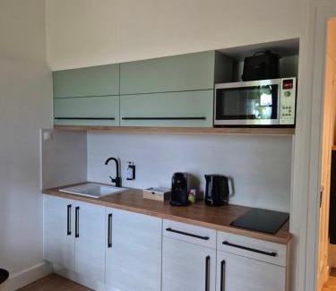 Trevoux Apartment | Logement "L'Olivier" TREVOUX climatisé