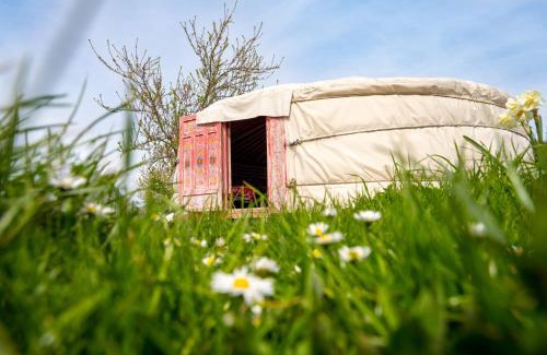 Farbus House | Unique Farm Stays: Yourte, Kota & Pod Accommodations