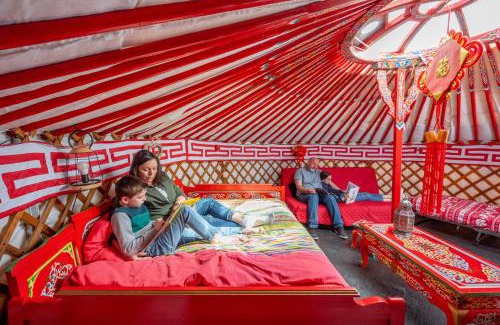 Farbus House | Unique Farm Stays: Yourte, Kota & Pod Accommodations