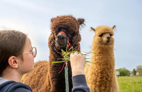 Farbus House | Unique Farm Stays: Yourte, Kota & Pod Accommodations