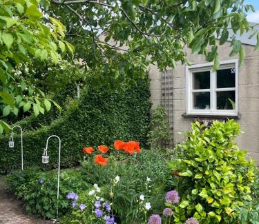 Rijkevorsel Bed & Breakfast | Guest Rated: B&B Tuin der Zinnen with Breakfast & Family Amenities