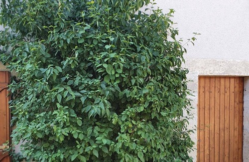Varennes-les-Narcy Apartment | Cozy Logis Côté Cour: Family-Friendly with Kitchen Amenities