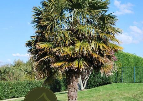 Chenac-Saint-Seurin-d'Uzet Bed & Breakfast | Relax at Logis de Chenac: Oceanfront Rooms & Dining