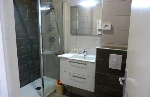 Saint-Clement-sur-Valsonne Hotel | Pet-Friendly Hôtel Restaurant Le Saint Clément with Breakfast