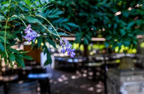 Itxassou Hotel | Oceanfront Stay at Logis Hôtel du Chêne with Breakfast