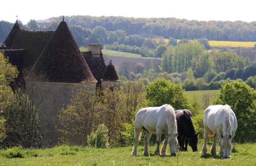 La Chapelle-Montligeon Hotel | Pet Friendly Stay at Logis- Hôtel & Restaurant Le Montligeon