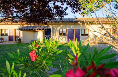 Chateauneuf-du-Rhone Hotel | Pet-Friendly Getaway at Logis Hôtel Le Mistral, Montélimar