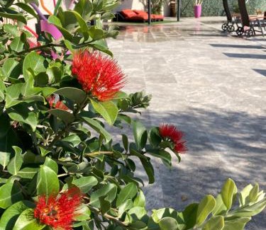 Caissargues Hotel | Inviting Logis Hôtel Restaurant Les Aubuns with Pool & Ocean Views