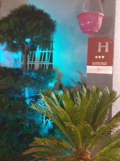 Fleurance Hotel | Discover Le Fleurance: Pet-Friendly Retreat by the Ocean