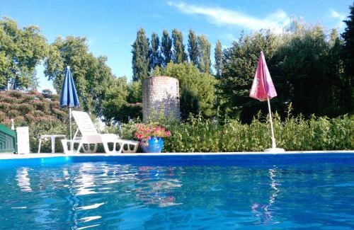 Fleurance Hotel | Discover Le Fleurance: Pet-Friendly Retreat by the Ocean