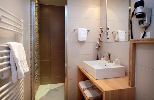Saint-Pee-sur-Nivelle Hotel | Pet-Friendly Logis Hotel de la Nivelle with Breakfast
