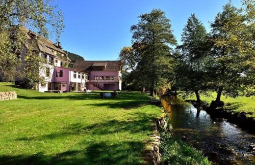 Sewen Hotel | Discover Comfort at Logis Hotel Des Vosges with Spa & Dining