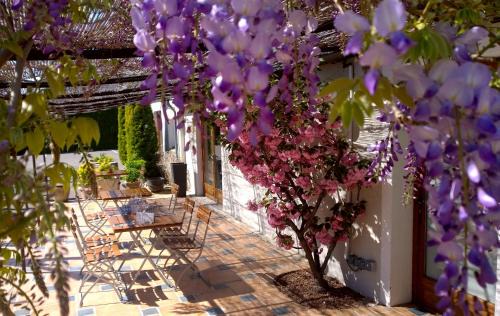 Portes-les-Valence Hotel | Pet-Friendly Oceanfront Stay at Logis Hotel Le Nouvel