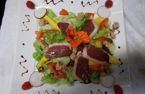 Tournon-sur-Rhone Hotel | Charming Hotel Chaumiere: Pet-Friendly & Family-Oriented Stay
