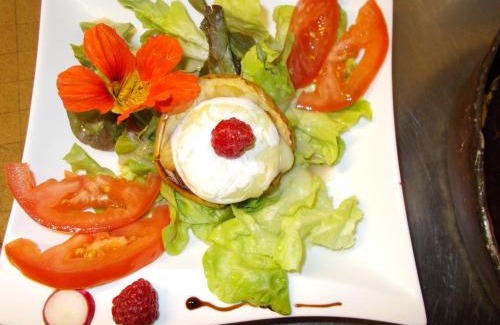 Tournon-sur-Rhone Hotel | Charming Hotel Chaumiere: Pet-Friendly & Family-Oriented Stay