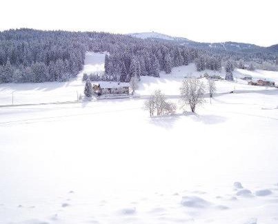 Lamoura Hotel | Pet-Friendly Retreat at LOGIS Les Arobiers - Rated 8.2/10