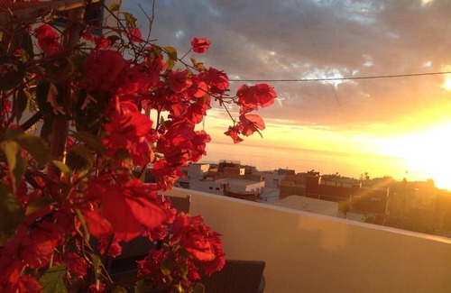 Tamrhakht Apartment | Sunny Oceanfront Retreat with Terrace and Pet-Friendly Amenities