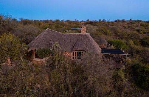 Loisaba Other | Discover Loisaba Star Beds: Relax by the Pool in Nature