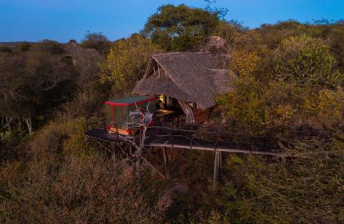Loisaba Other | Discover Loisaba Star Beds: Relax by the Pool in Nature